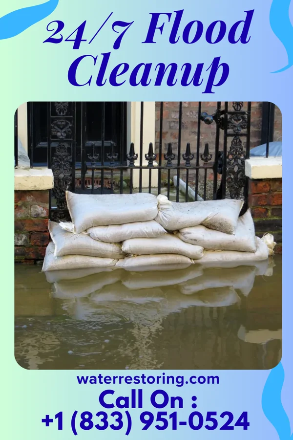 24/7 Flood Cleanup in Reedy, WV