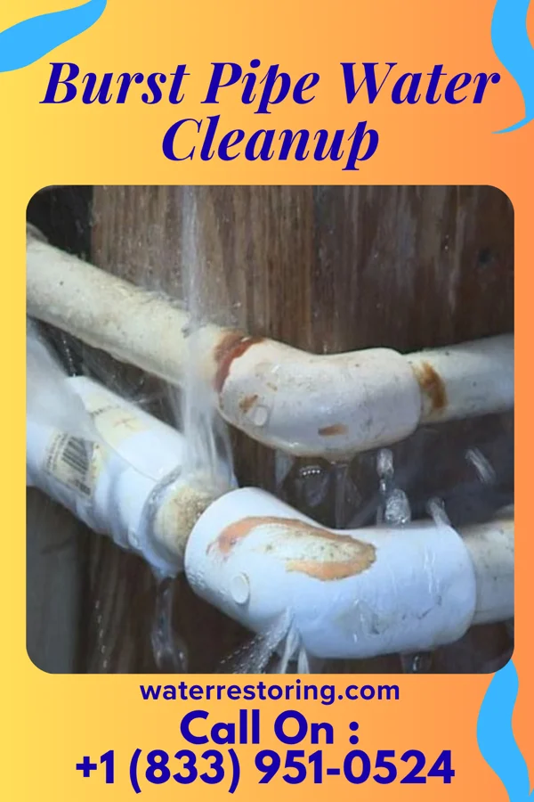Burst Pipe Water Cleanup in Reedy, WV