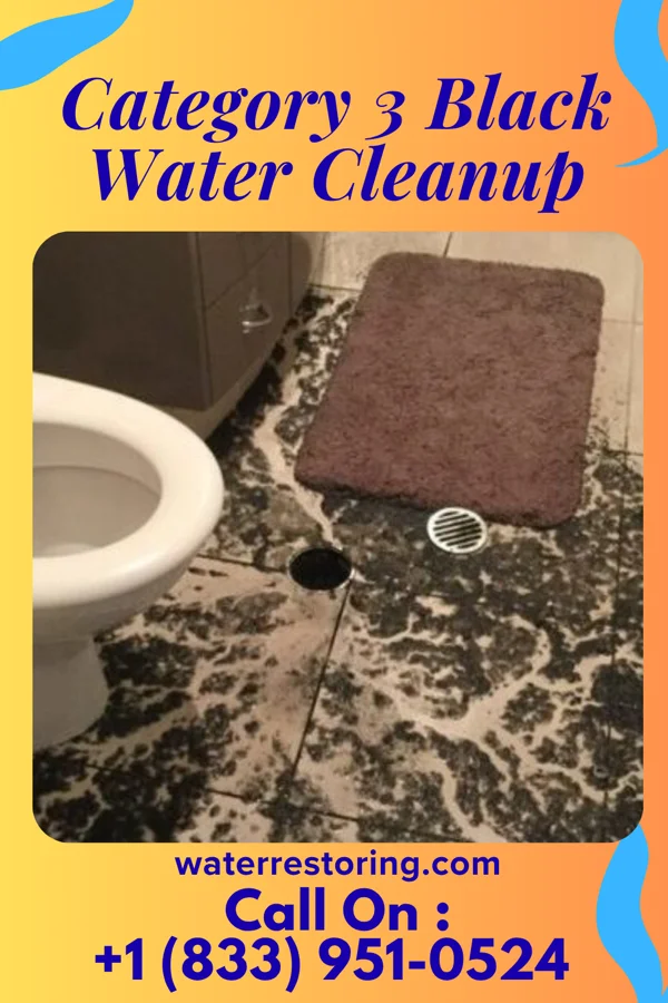 Category 3 Black Water Cleanup in Reedy, WV