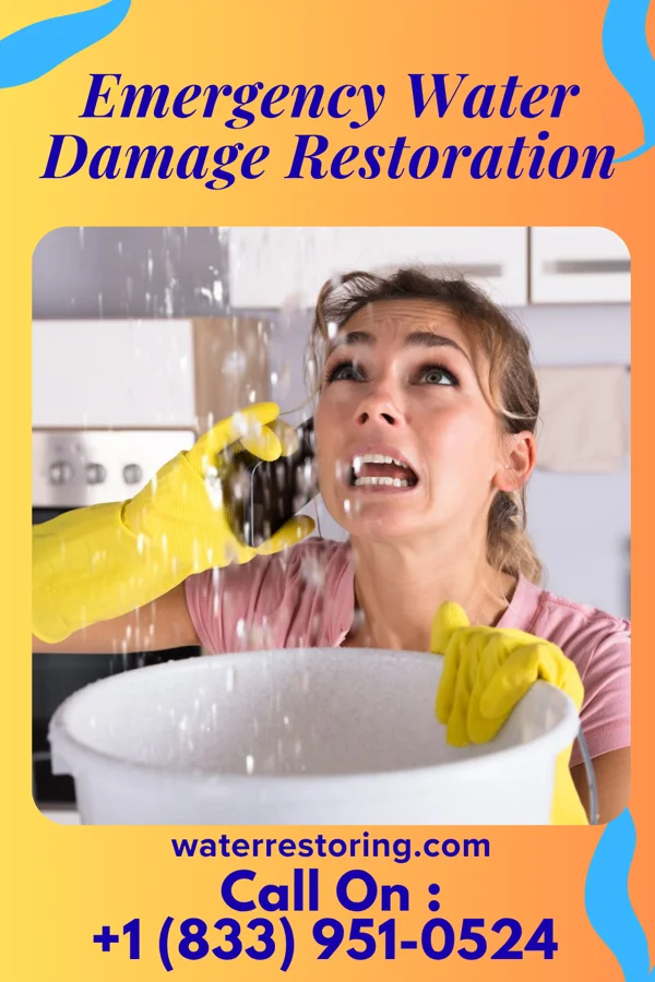 Emergency Water Damage Restoration in Reedy, WV