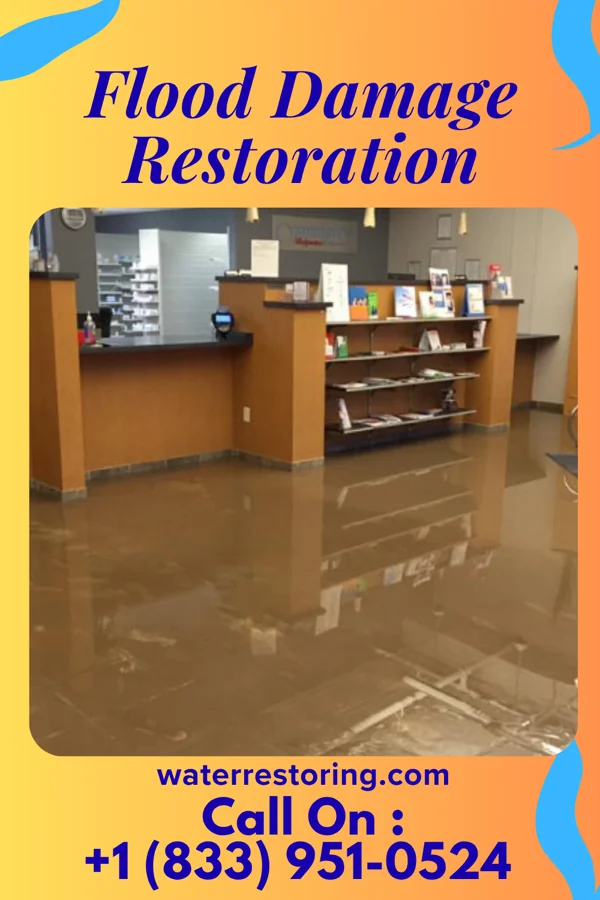 Flood Damage Restoration in Reedy, WV