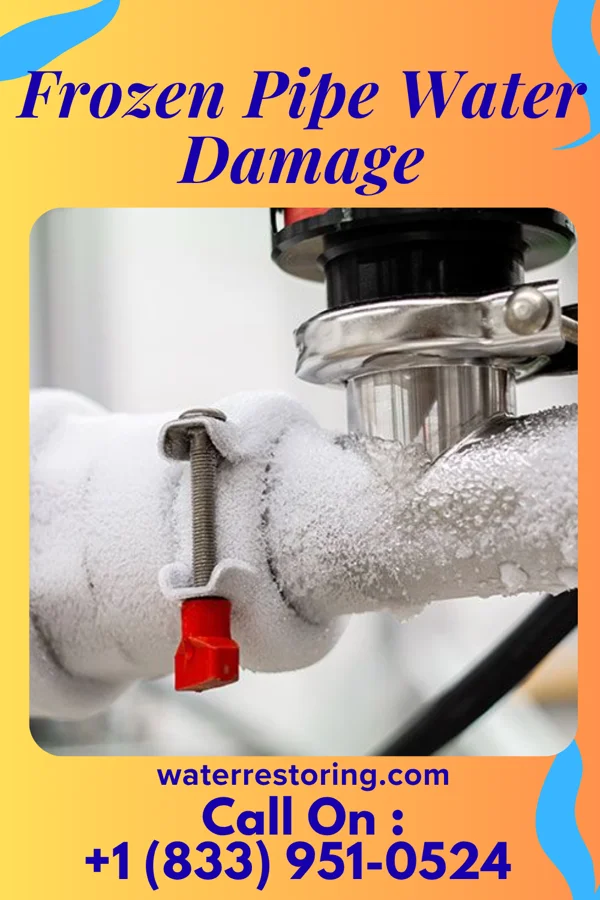 Frozen Pipe Water Damage in Reedy, WV