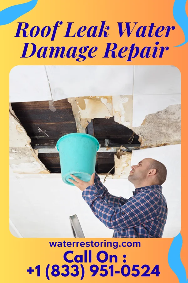 Roof Leak Water Damage Repair in Reedy, WV