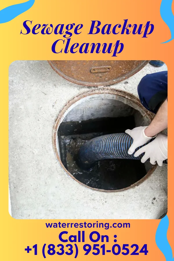 Sewage Backup Cleanup in Reedy, WV