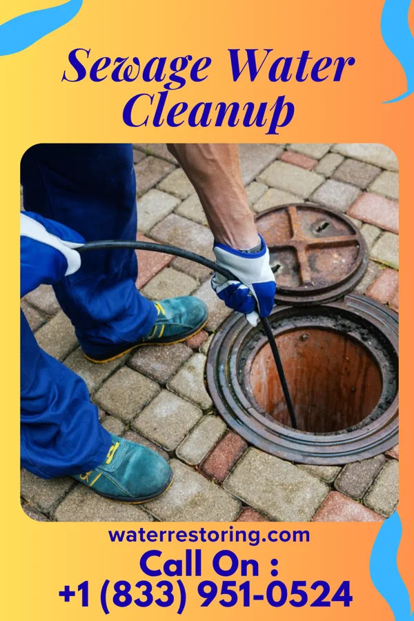 Sewage Water Cleanup in Reedy, WV